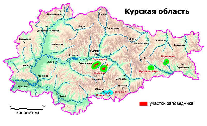 Реферат: Центрально - Чернозёмный район